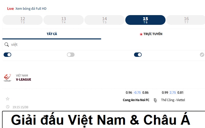Giải đấu Việt Nam & Châu Á