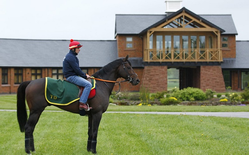 xây dựng trang trại ngựa Manor House Stables tại Cheshire